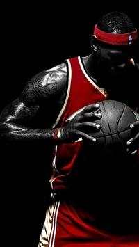 NBA Player Wallpaper screenshot 1