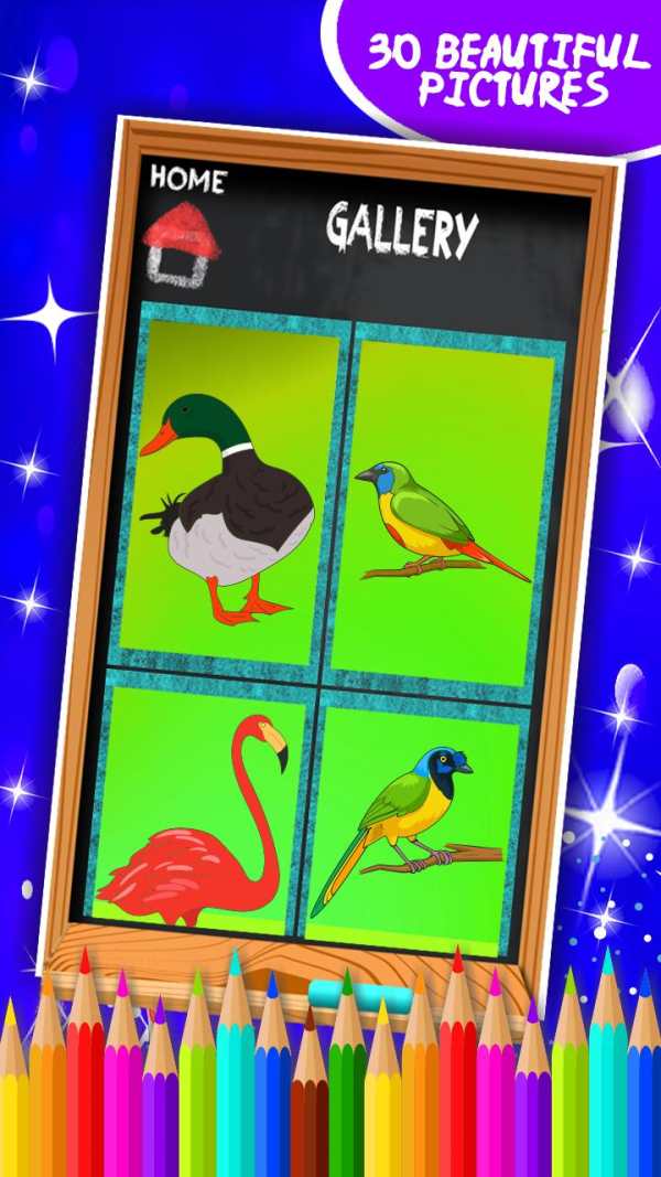Birds Coloring Book screenshot 8