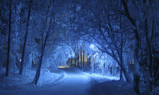 Winter Wallpapers | hd backgrounds screenshot 12