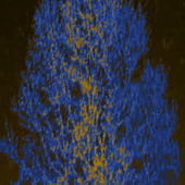 Star Lit Tree LWP icon