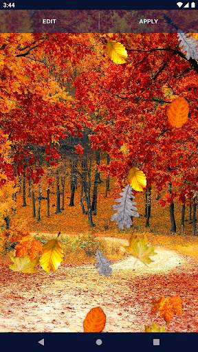 Autumn Leaves Live Wallpaper screenshot 5