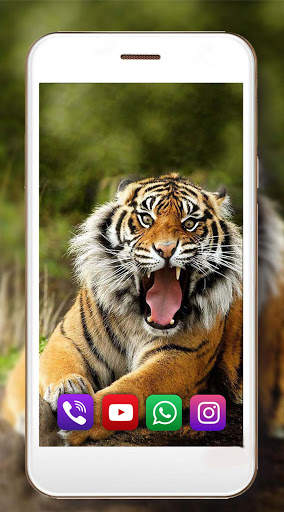 Tigers Live Wallpaper screenshot 5