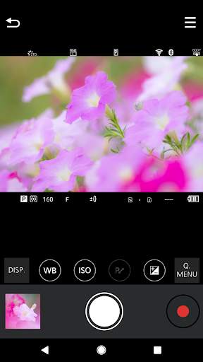 Panasonic LUMIX Sync 3 تصوير الشاشة