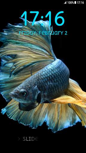 Betta Fish Pattern Lock Screen screenshot 5