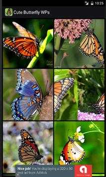 Cute Butterfly WPs screenshot 1