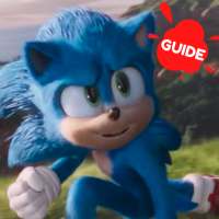 Guide for Game Hedgehog