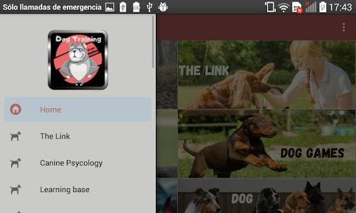 Dog Training Guide Offline screenshot 17