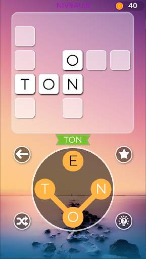 Pro des Mots en Français screenshot 5