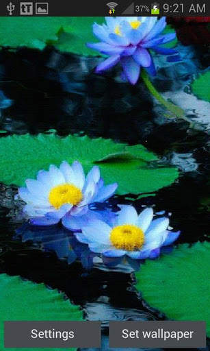 Nature Lotus Live Wallpaper screenshot 1