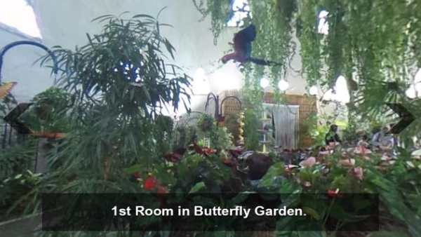 Dubai Butterfly Garden 360View screenshot 6