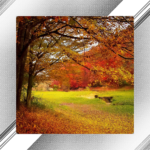 Forest Photo Frames icon