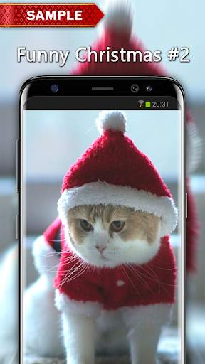 Funny Christmas Wallpapers स्क्रीनशॉट 3