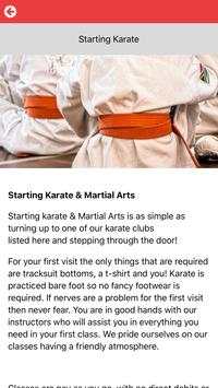 International Karate screenshot 3