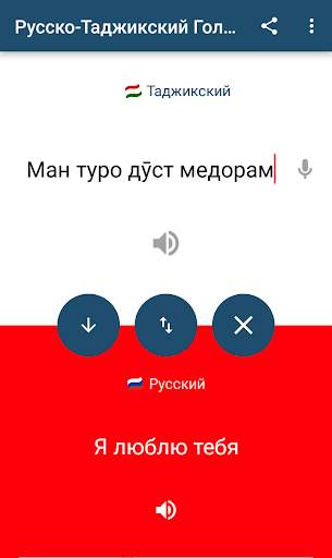Тоҷикӣ Русӣ Тарҷумон Луғат скриншот 6