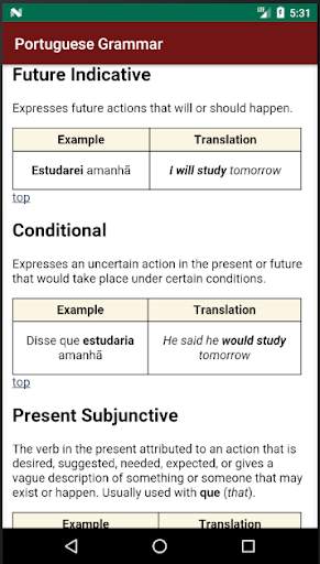 Portuguese Grammar Essentials screenshot 6