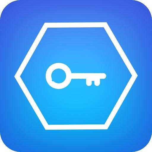 VPN Pro 2020 1.0