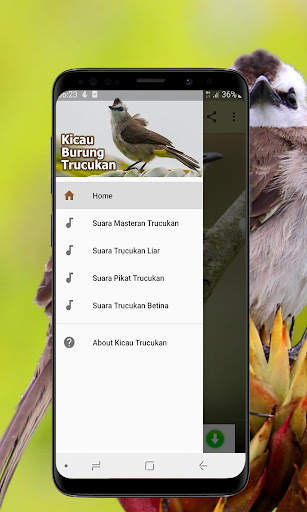 Kicau Burung Trucukan Offline screenshot 2