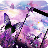 Lavender  theme butterfly theme Boutique icon icon