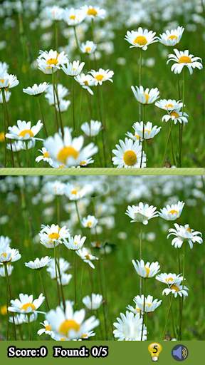 Find Difference Photo Game screenshot 2