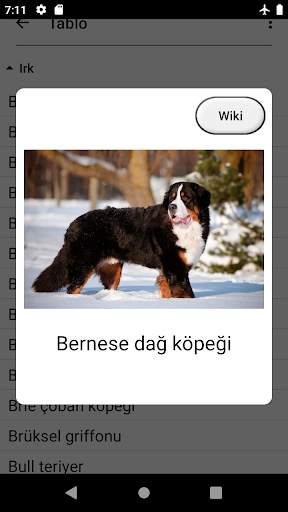Köpekler - Tüm köpek ırkları hakkında Foto-Sınav screenshot 5