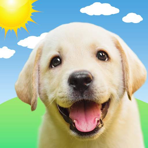 Weather Puppy - App & Widget 5.8.4