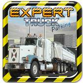 Expert Truck Parking 3D Games 1.0