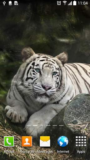 Tiger Live Wallpaper screenshot 2