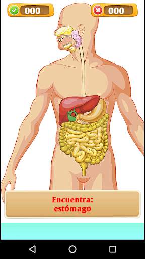 QuizPedia: ciencias sociales y naturales trivia screenshot 7