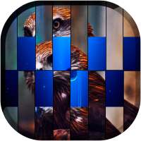 Pic FX Transition LWP