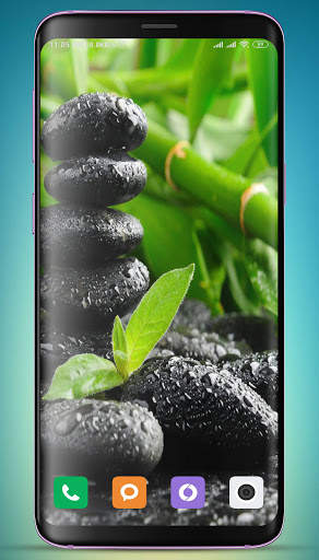 Bamboo Wallpaper HD screenshot 11
