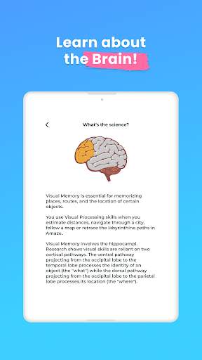 Brainwell - Brain Training 16 تصوير الشاشة