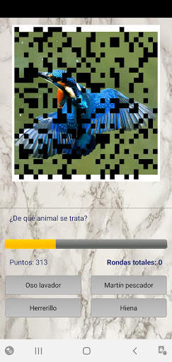 Foto Trivia screenshot 3