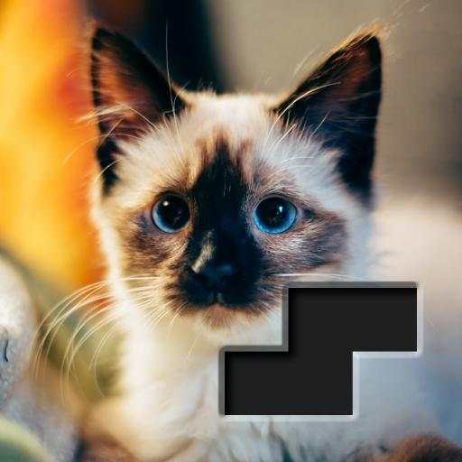 Block Square Jigsaw Puzzle 1.2.2