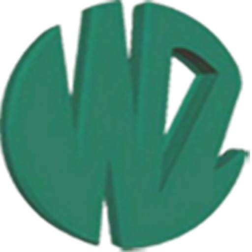 wizo PAY 1
