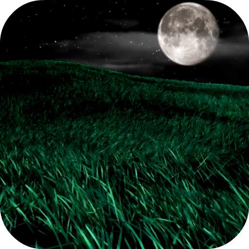 Night HD Video Wallpaper 13.0