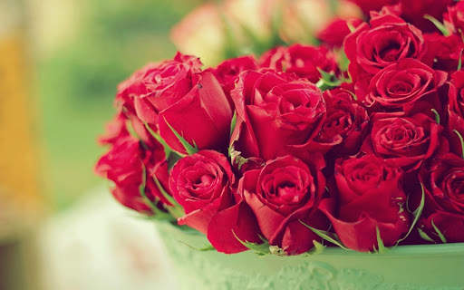 Red Rose Wallpapers screenshot 9