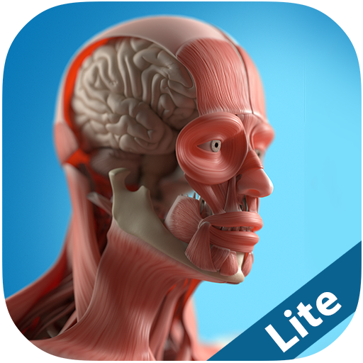 ikon Anatomy Game Anatomicus Lite