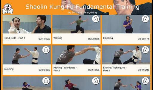 Shaolin Kung Fu screenshot 1