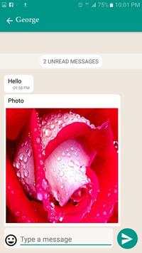WhatsOffline screenshot 4