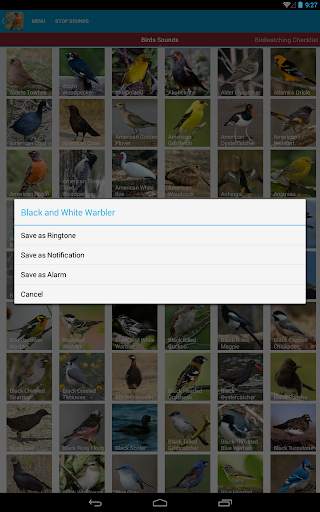 North American Birds Free screenshot 23