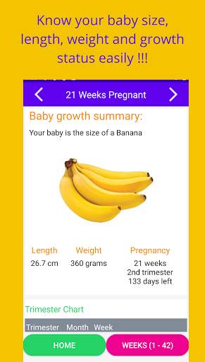 Baby Gender Predict   Pregnancy Week By Week screenshot 3
