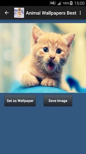 Animal Wallpapers App 🐈🐅🐎 : Animal Background screenshot 4