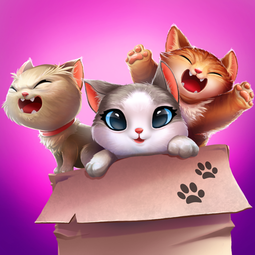Miau Dopasuj icon