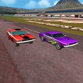 ikon Motorsports: Speedway Racing