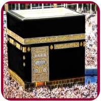 Islamic Arts Jigsaw Puzzle logo