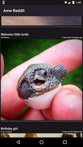 Aww Reddit screenshot 1