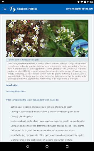Kingdom Plantae 1 تصوير الشاشة