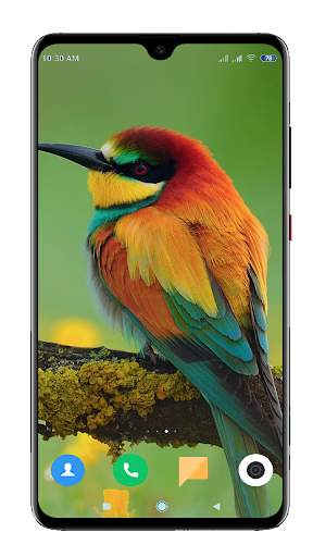 Bird Wallpaper 4K screenshot 8