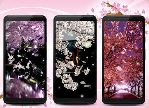Sakura Live Wallpaper screenshot 4