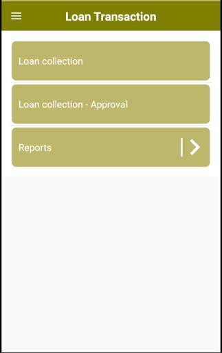 Loan Management System скриншот 5